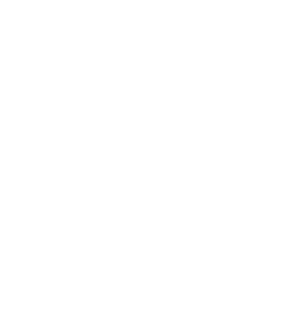 Logo Animate 400 1a